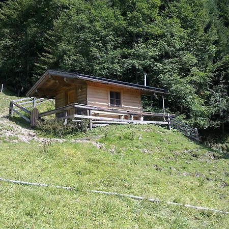 Haus Theresia Alpbach Exteriör bild