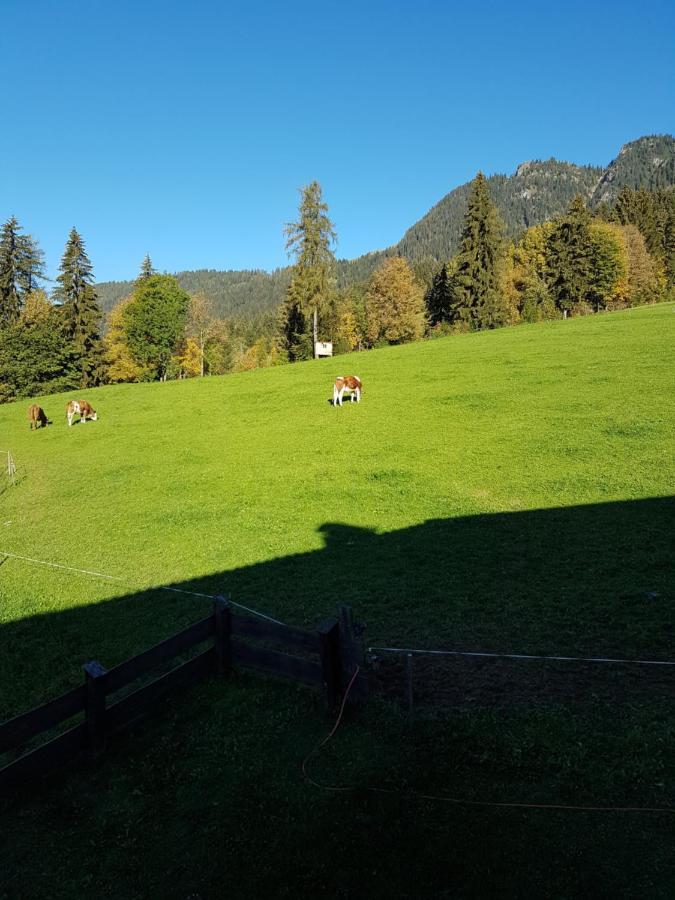 Haus Theresia Alpbach Exteriör bild