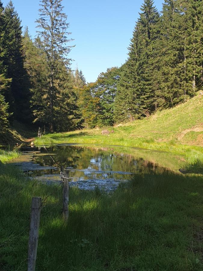 Haus Theresia Alpbach Exteriör bild
