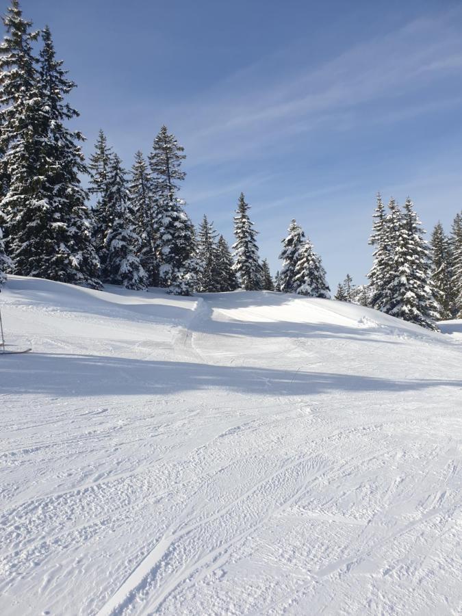 Haus Theresia Alpbach Exteriör bild