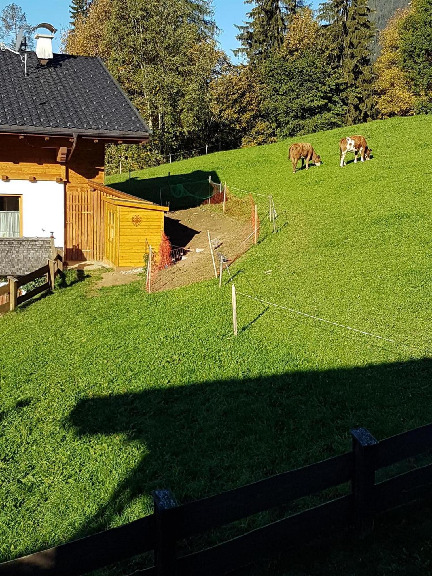 Haus Theresia Alpbach Exteriör bild