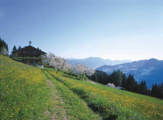 Haus Theresia Alpbach Exteriör bild