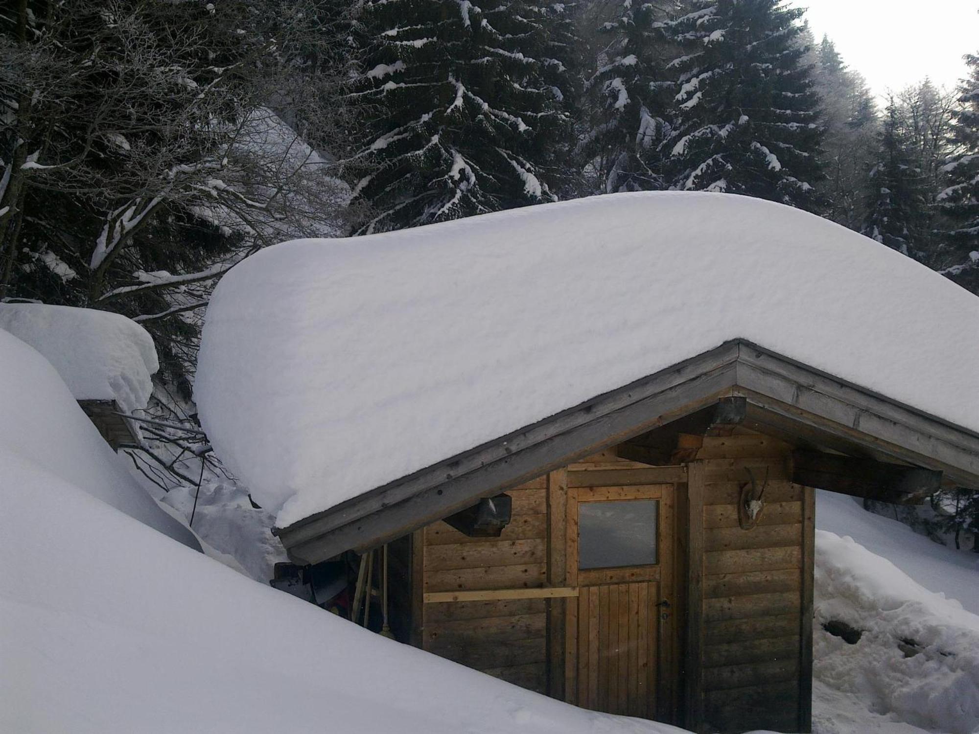 Haus Theresia Alpbach Exteriör bild